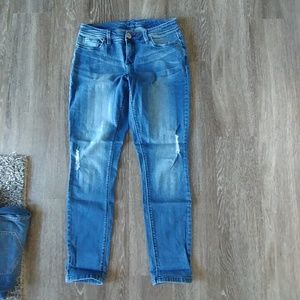 The Limited Skinny Jean (size 8R)